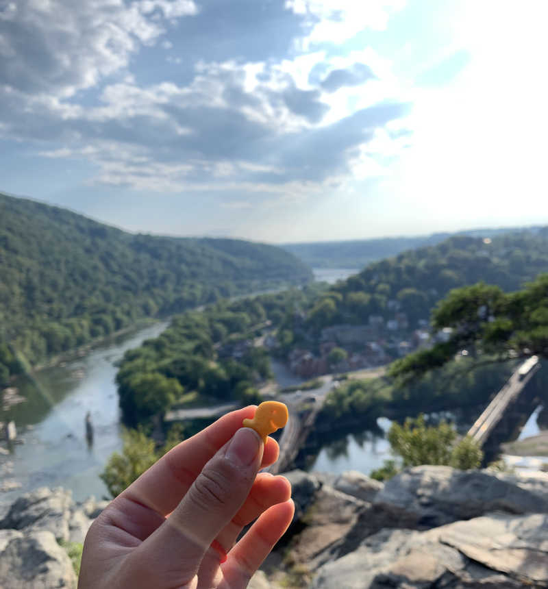 View from Maryland Heights. A hiker holds a goldfish in their hand in the foreground.